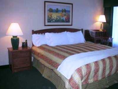Homewood By Hilton Kansas Airport Kansas City